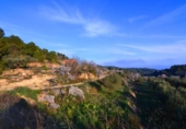 Terreno no urbanizable en venta en la España, Corbera d'Ebre, ref: TR416813 foto