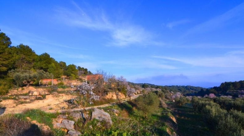 Tarragona - Corbera d'Ebre - 26100m2