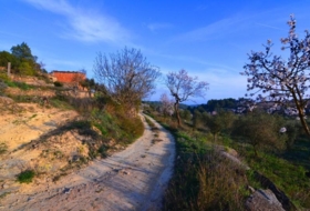 Corbera d'Ebre 26100&nbsp;m²