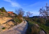Terreno no urbanizable en venta en la España, Corbera d'Ebre, ref: TR416813 foto