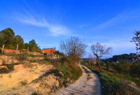 Corbera d'Ebre 26100&nbsp;m²