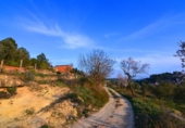 Terreno no urbanizable en venta en la España, Corbera d'Ebre, ref: TR416813 foto