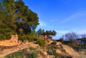 Corbera d'Ebre 26100&nbsp;m²