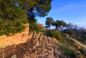 Corbera d'Ebre 26100&nbsp;m²