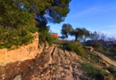 Terreno no urbanizable en venta en la España, Corbera d'Ebre, ref: TR416813 foto