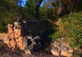 Terreno no urbanizable en venta en la España, Corbera d'Ebre, ref: TR416813 foto