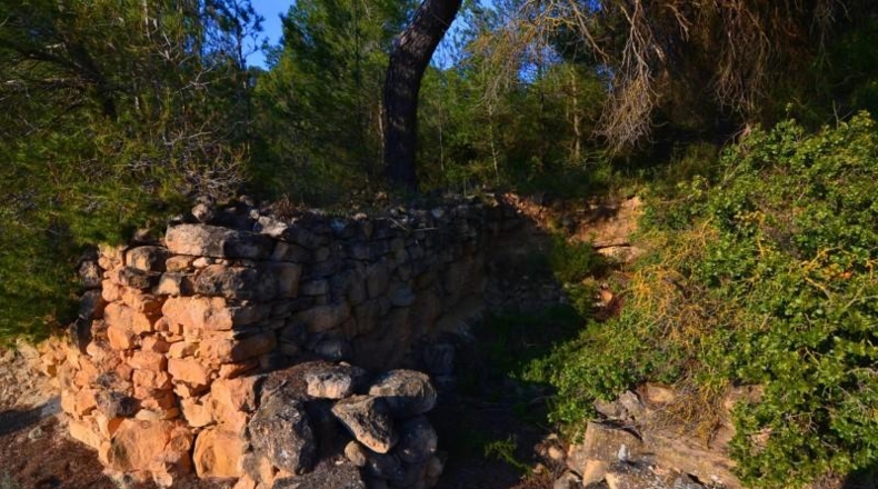 Tarragona - Corbera d'Ebre - 26100m2
