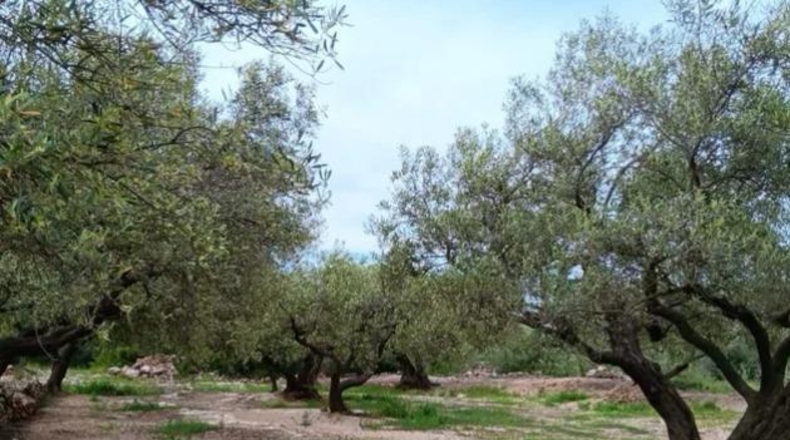 Tarragona - Roquetes - 25m2