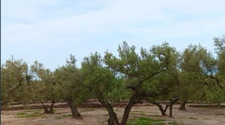 Tarragona - Roquetes - 25m2