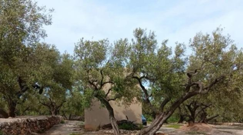 Tarragona - Roquetes - 25m2