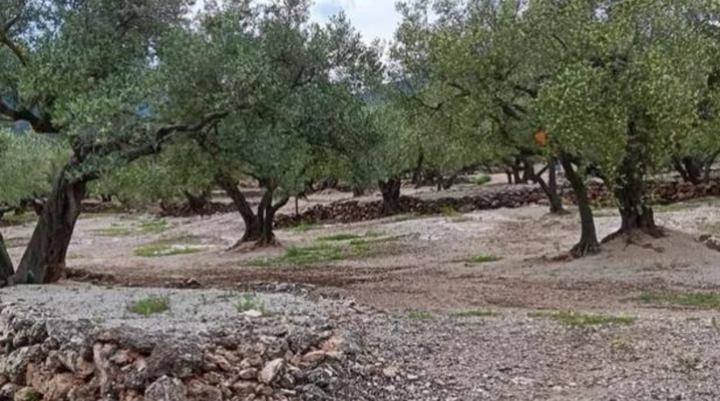 Tarragona - Roquetes - 25m2