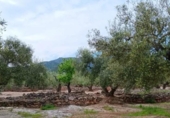 Chalet independiente con terreno en venta en la España, Roquetes, ref: TR416814 foto