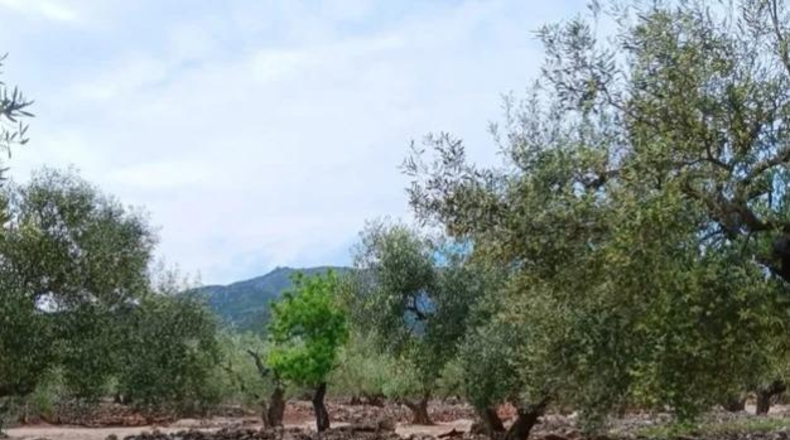Tarragona - Roquetes - 25m2