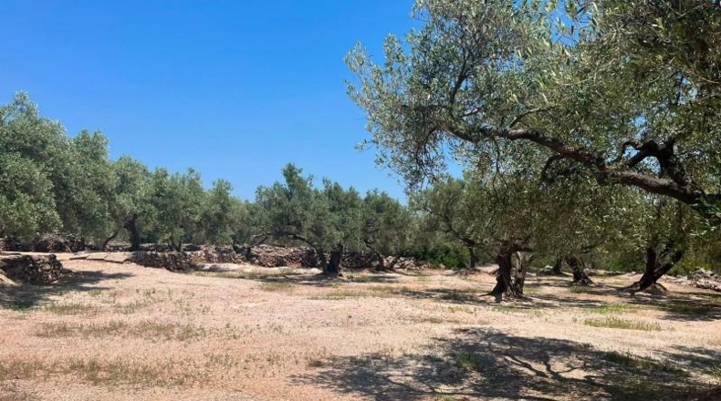 Tarragona - Roquetes - 25m2