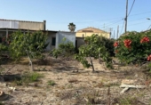Parcel·la urbanitzable en venda a la España, Deltebre, ref.: TR416818 foto