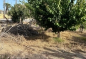 Parcel·la urbanitzable en venda a la España, Deltebre, ref.: TR416818 foto