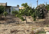 Parcel·la urbanitzable en venda a la España, Deltebre, ref.: TR416818 foto