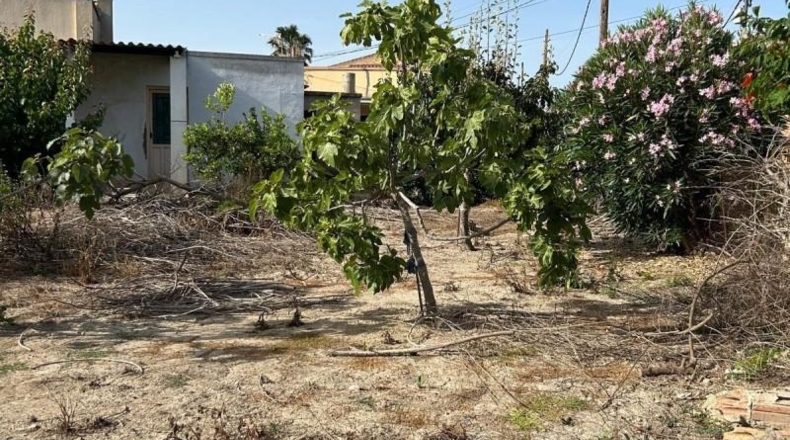 Tarragona - Deltebre - 400m2