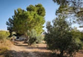 Casa de camp amb terreny en venda a la España, Madrid, ref.: TR416819 foto