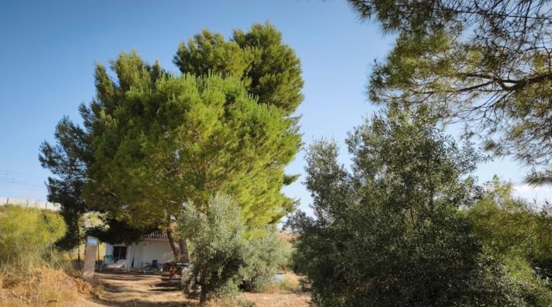 Comunidad de Madrid - Madrid - 2420m2