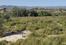 El Palomar 21288&nbsp;m²