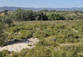 Terreno no urbanizable en venta en la España, El Palomar, ref: TR416820 foto