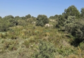 Terreno no urbanizable en venta en la España, El Palomar, ref: TR416820 foto