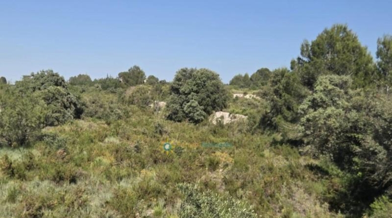 València - el Palomar - 21288m2