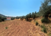 Terreno no urbanizable en venta en la España, Víznar, ref: TR416821 foto