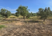 Terreno no urbanizable en venta en la España, Llíria, ref: TR416823 foto