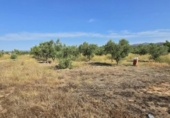 Terreno no urbanizable en venta en la España, Llíria, ref: TR416823 foto
