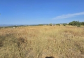 Terreno no urbanizable en venta en la España, Llíria, ref: TR416823 foto