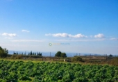 Casa de campo con terreno en venta en la España, Benigànim, ref: TR325112 foto