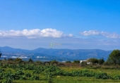 Casa de campo con terreno en venta en la España, Benigànim, ref: TR325112 foto