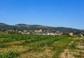 Casa de campo con terreno en venta en la España, Benigànim, ref: TR325112 foto