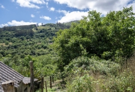 Villaviciosa 4400&nbsp;m²