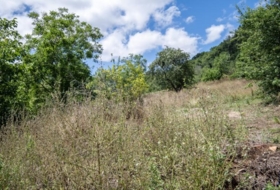 Villaviciosa 4400&nbsp;m²