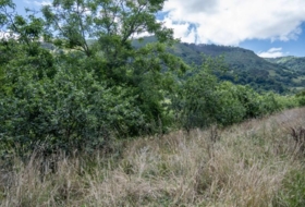 Villaviciosa 4400&nbsp;m²