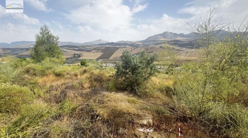 Málaga - Casabermeja - 800m2