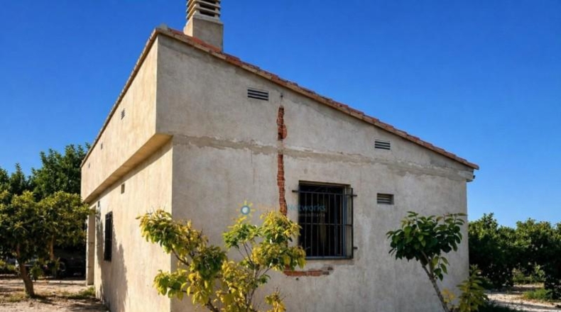 València - Albaida - 33000m2