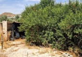 Country house with land for sale on España, Villanueva de Algaidas, ref: TR416851 photo