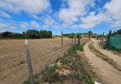 Terreny no urbanitzable en venda a la España, Malgrat de Mar, ref.: TR416863 foto