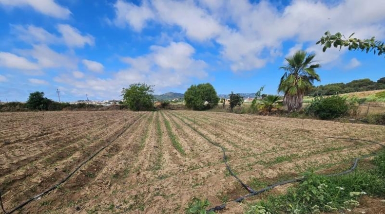 Barcelona - Malgrat de Mar - 17642m2