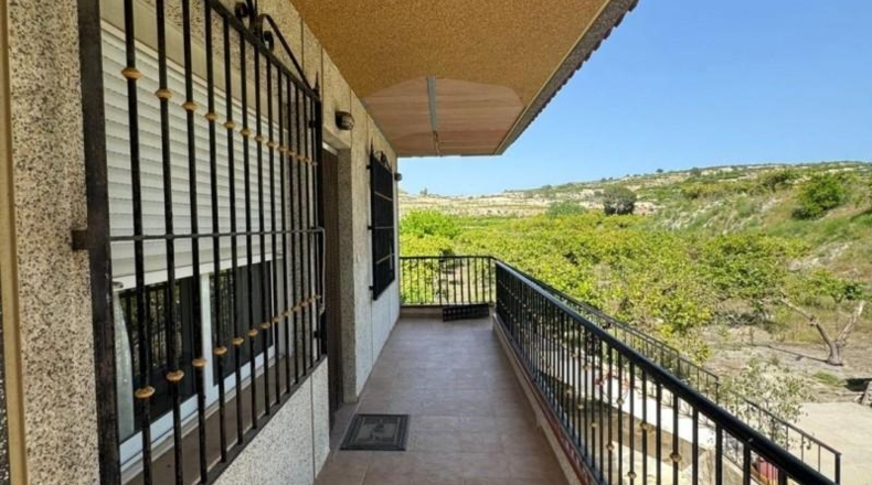 Alicante - Orihuela - 120000m2