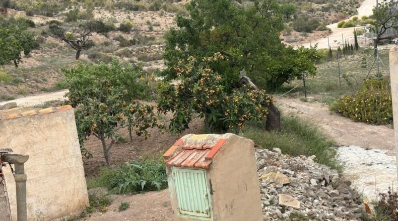 Murcia - Molina de Segura - 316m2