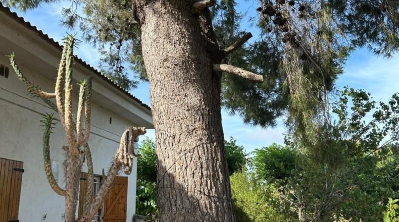 Tarragona - Camarles - 106m2