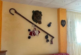 Foto 13