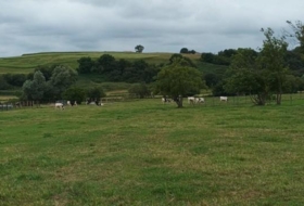 Suances 6081&nbsp;m²