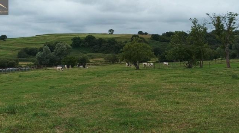 Cantabria - Suances - 6081m2