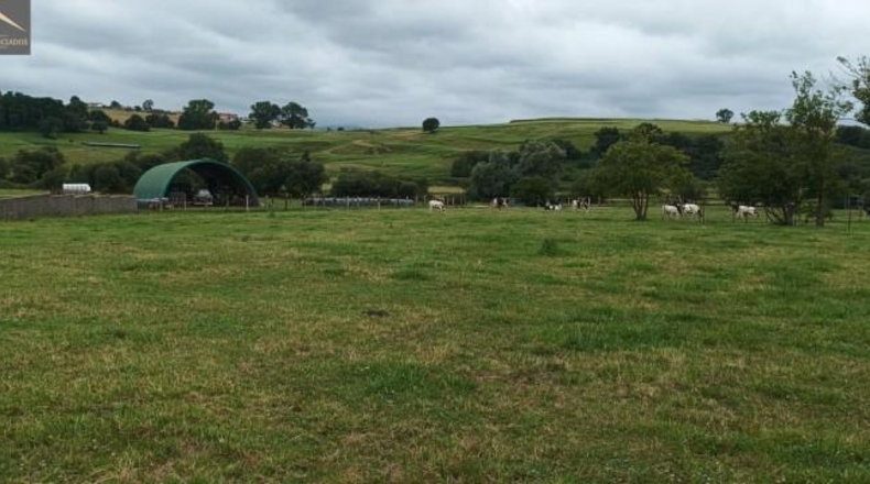 Cantabria - Suances - 6081m2